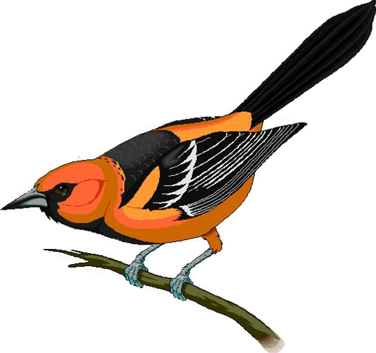 Mascot