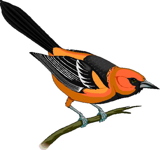 Mascot